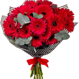 Ramo 12 Gerberas