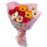 Gerbera Delight