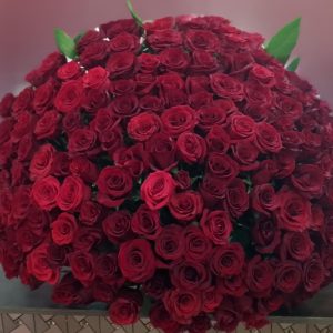Canasta de 200 rosas