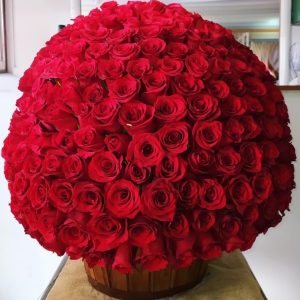 Canasta de 500 Rosas
