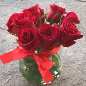 Pecera de Amor