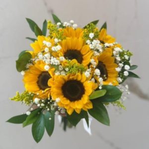 Sol de Primavera